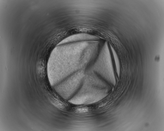 X0000098200653200805151230