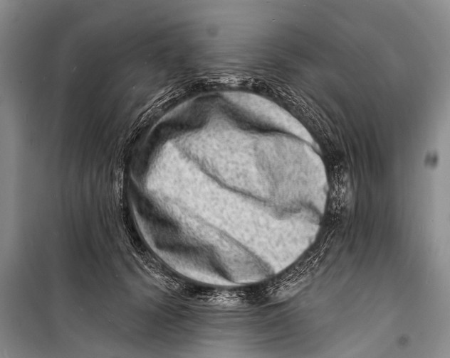 X0000098200656200805151230