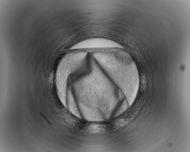 X0000098200657200805151230