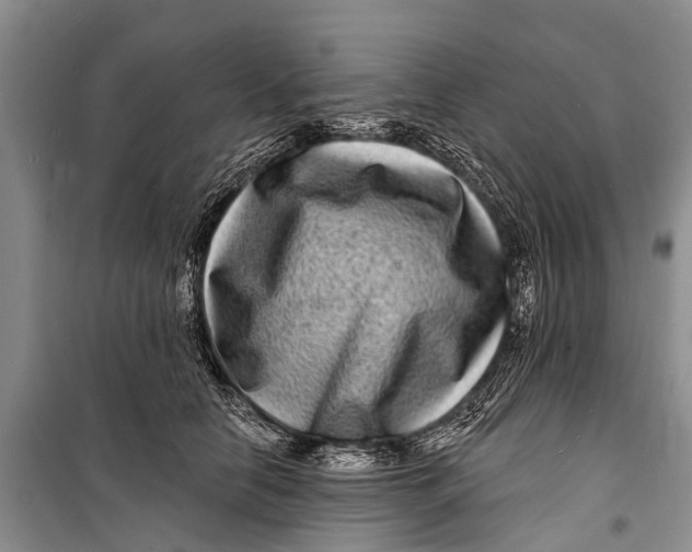 X0000098200658200805151230