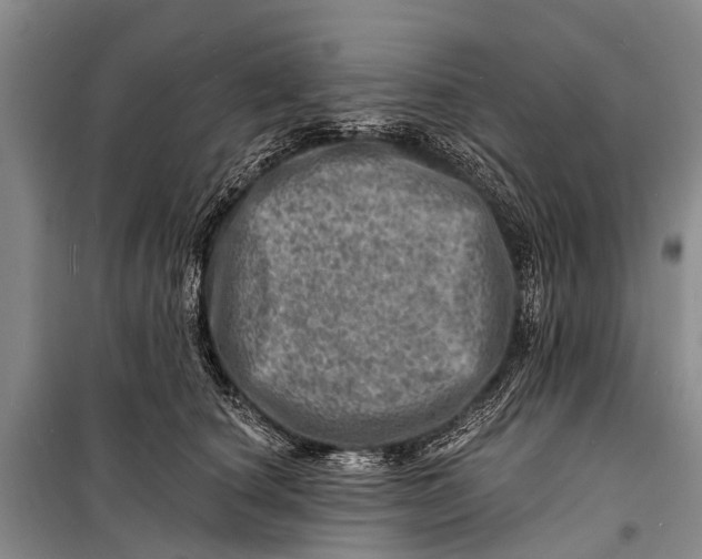 X0000098200660200805151230
