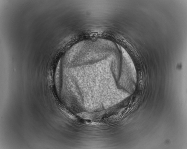 X0000098200661200805151230