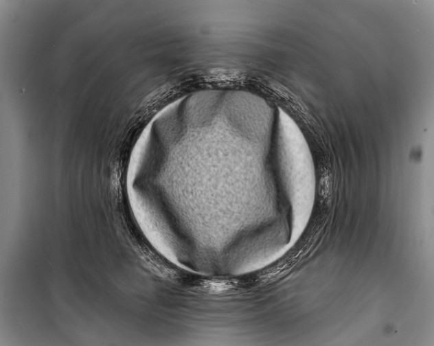 X0000098200662200805151230