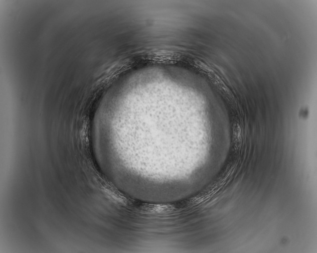 X0000098200663200805151230