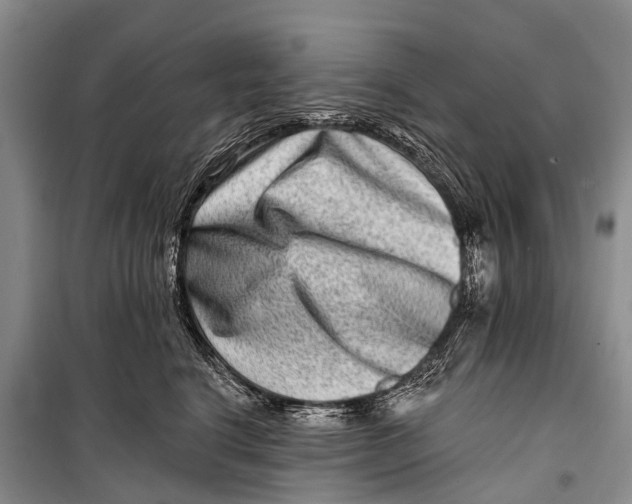 X0000098200664200805151230
