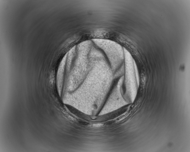 X0000098200665200805151230