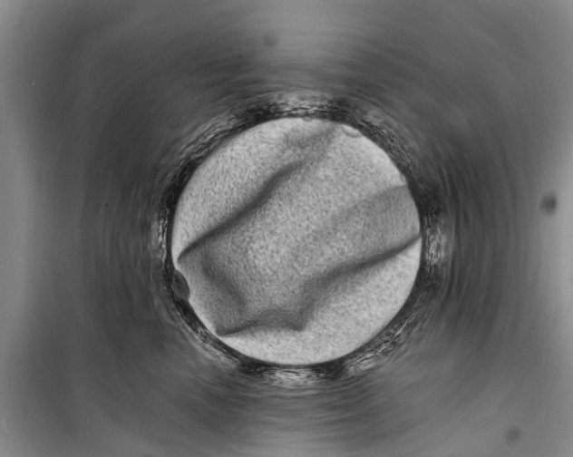 X0000098200666200805151230