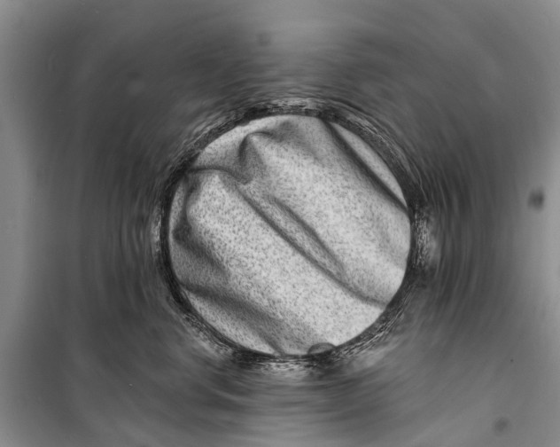 X0000098200668200805151230