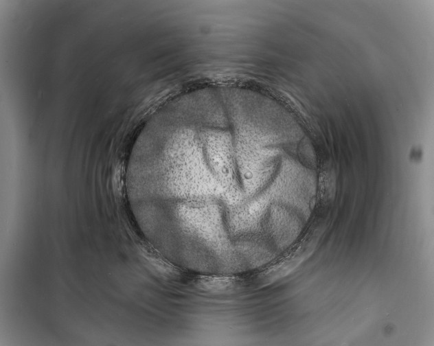 X0000098200671200805151230