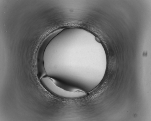 X0000098200673200805151229