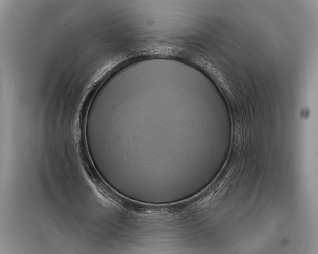 X0000098200674200805151229
