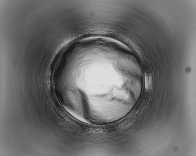 X0000098200675200805151229
