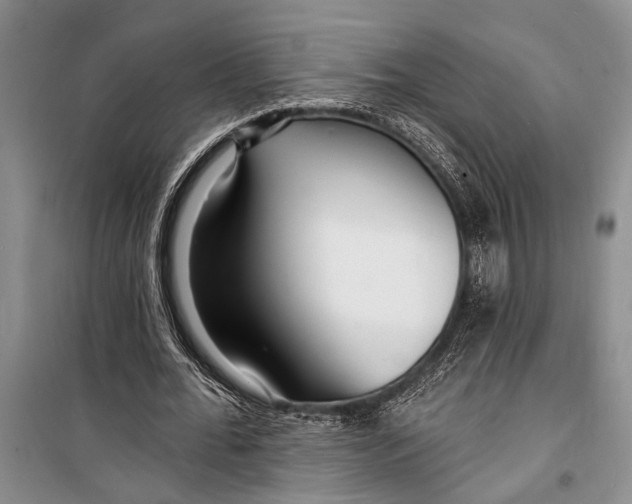 X0000098200676200805151229