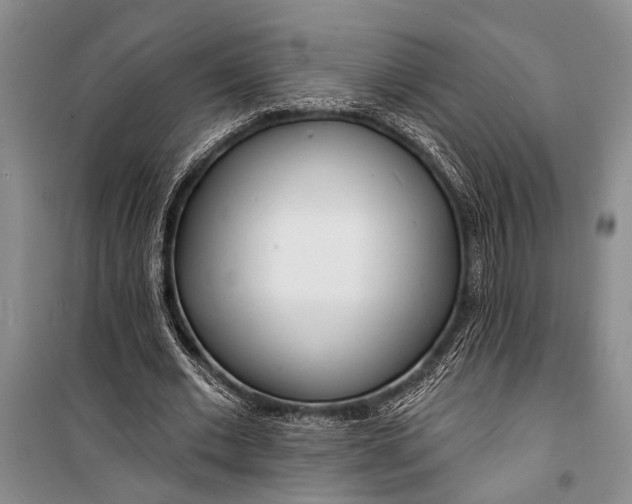 X0000098200677200805151229