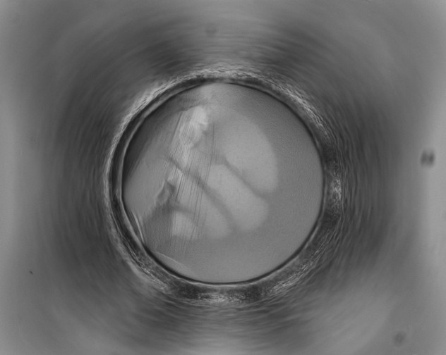 X0000098200678200805151229