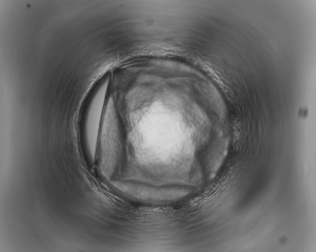 X0000098200679200805151229