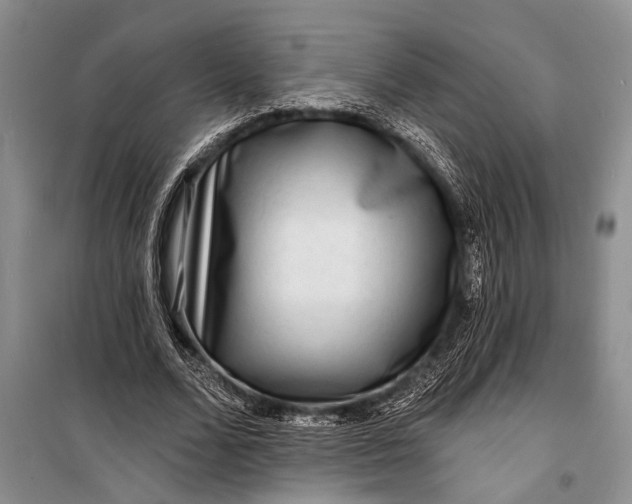 X0000098200680200805151229