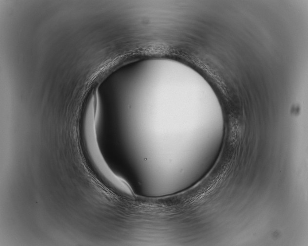 X0000098200681200805151229