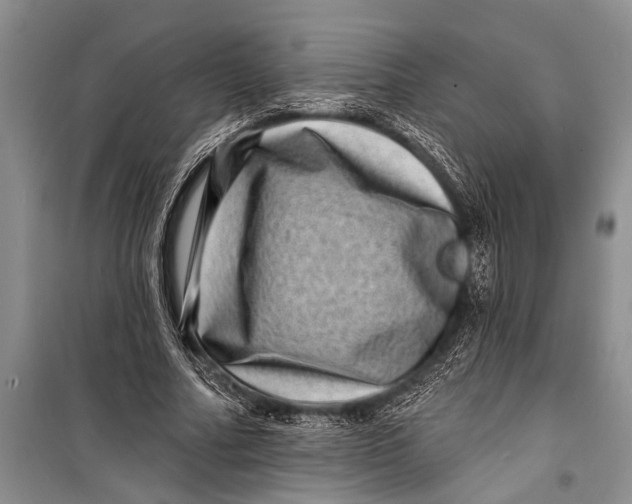 X0000098200682200805151229
