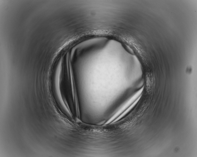 X0000098200684200805151229