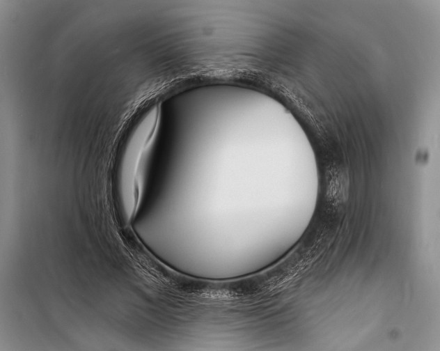 X0000098200685200805151229