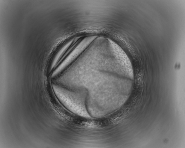 X0000098200688200805151229