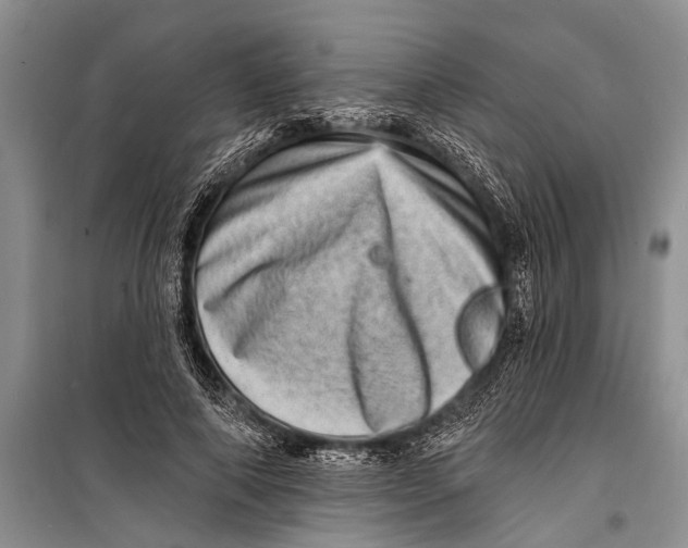 X0000098200690200805151229