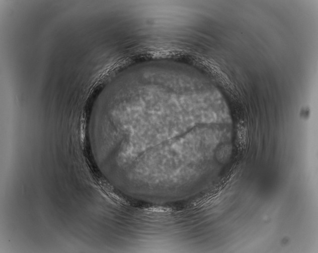 X0000098200691200805151229