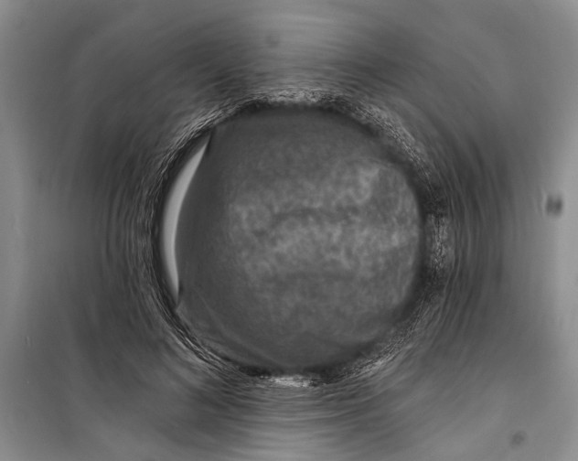 X0000098200692200805151229