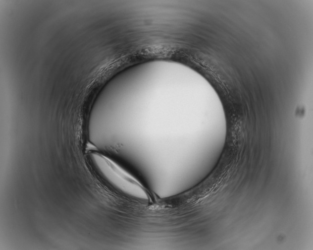 X0000098200693200805151229