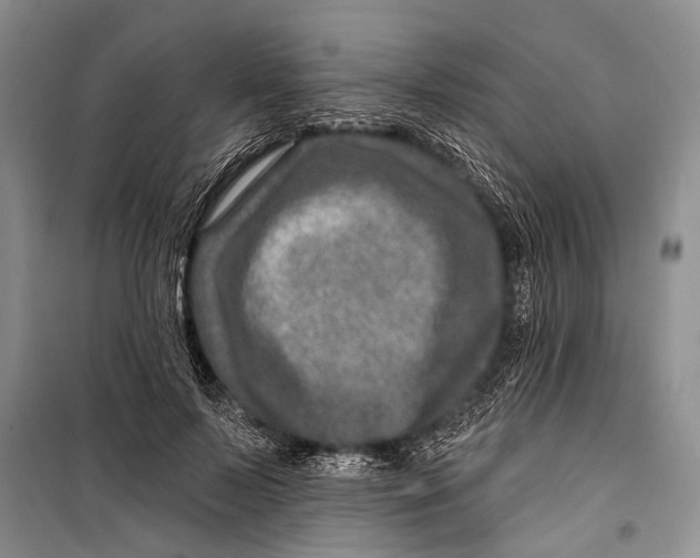 X0000098200695200805151229