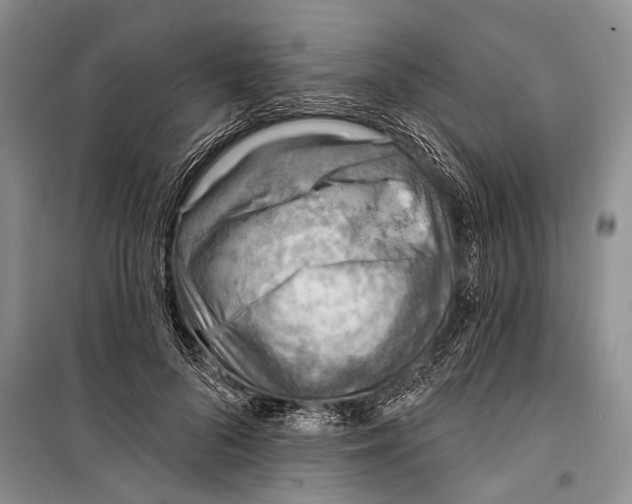 X0000098200696200805151229