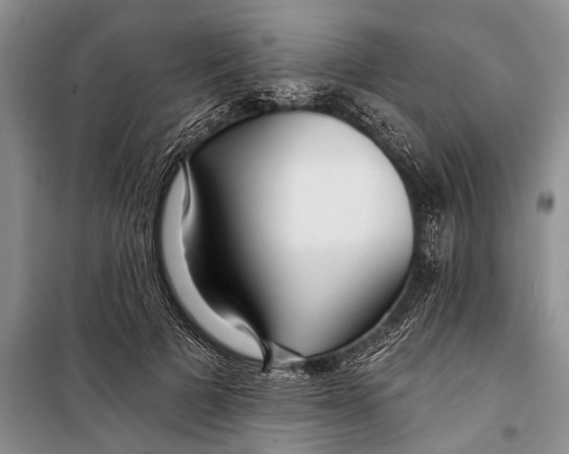 X0000098200697200805151229