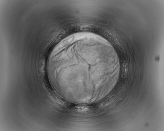 X0000098200698200805151229