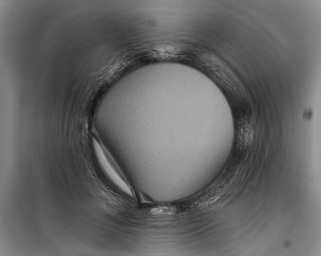 X0000098200700200805151229