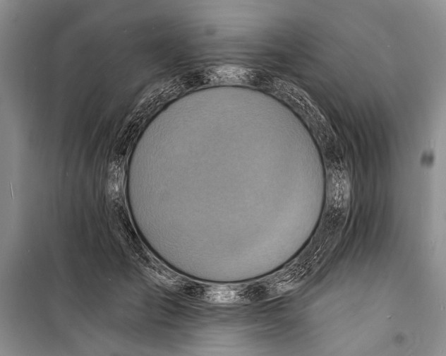 X0000098200701200805151229