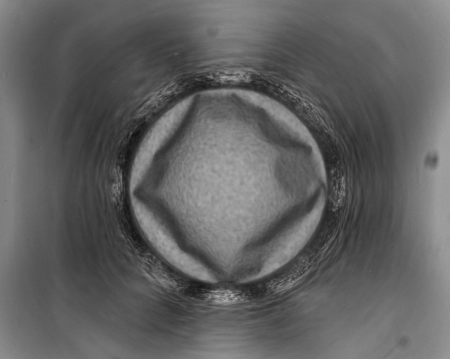 X0000098200704200805151229