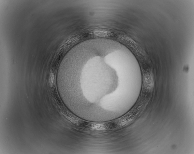 X0000098200705200805151229