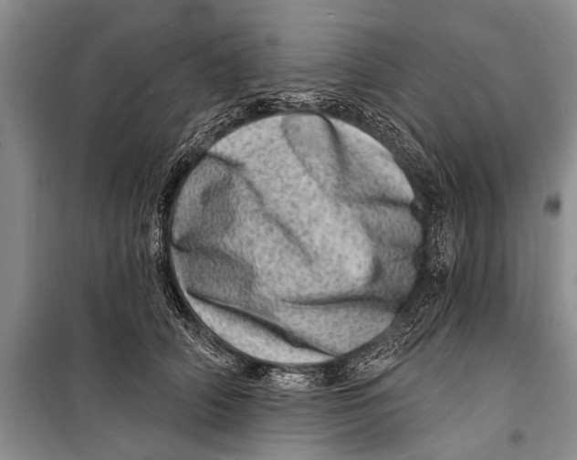 X0000098200706200805151229