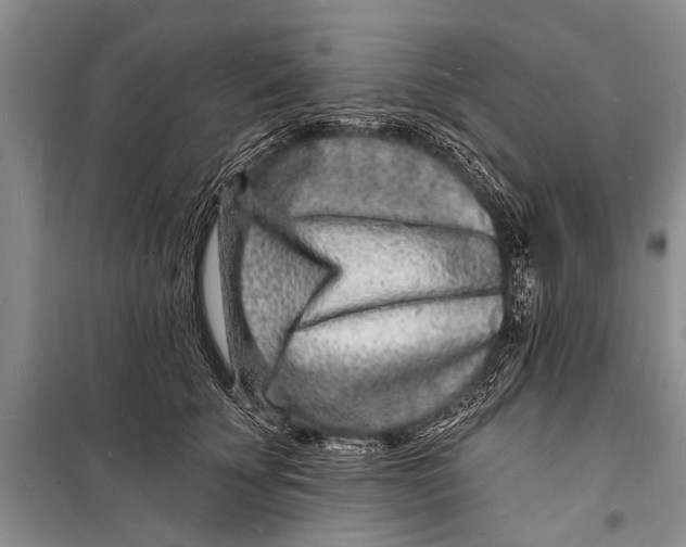 X0000098200707200805151229