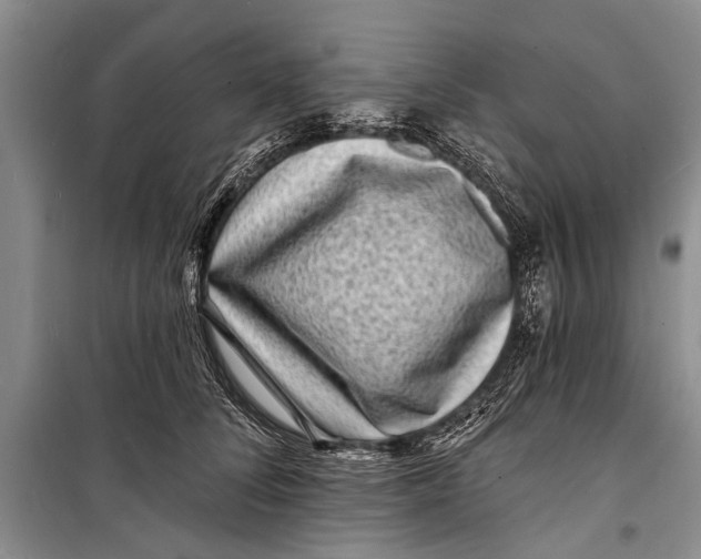 X0000098200708200805151229