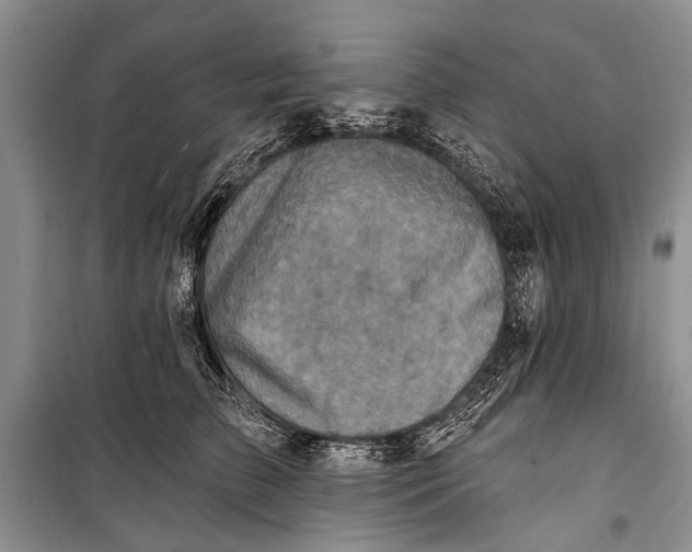 X0000098200709200805151229