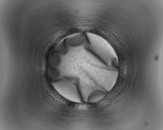 X0000098200710200805151229