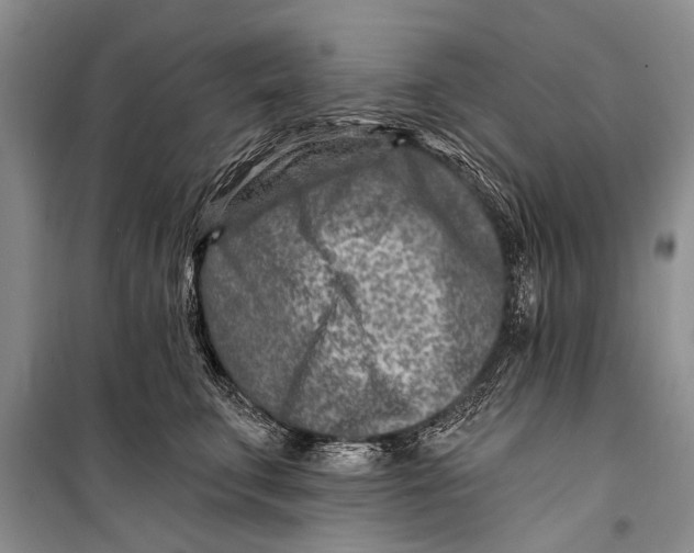 X0000098200711200805151229
