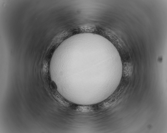 X0000098200713200805151228
