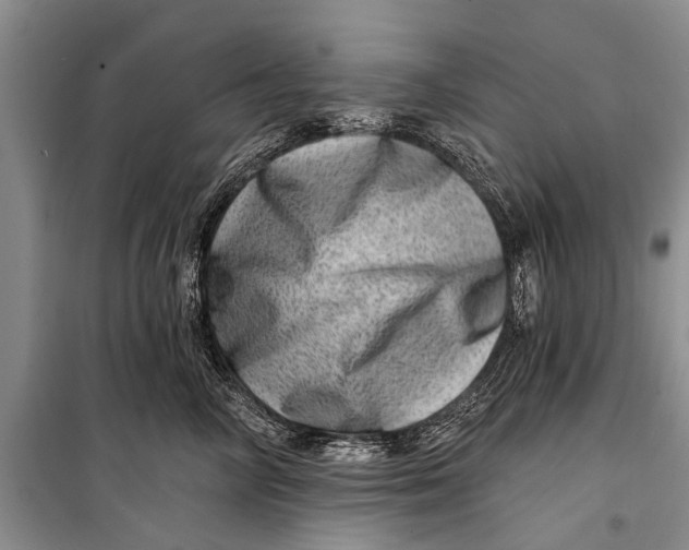 X0000098200714200805151228