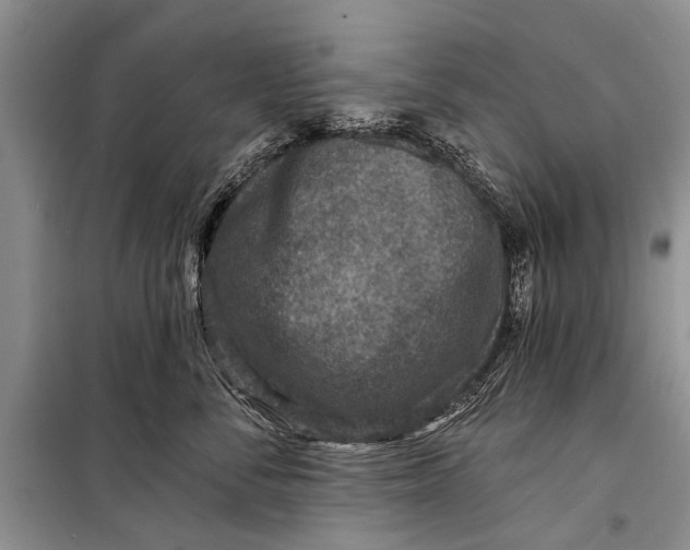 X0000098200716200805151228
