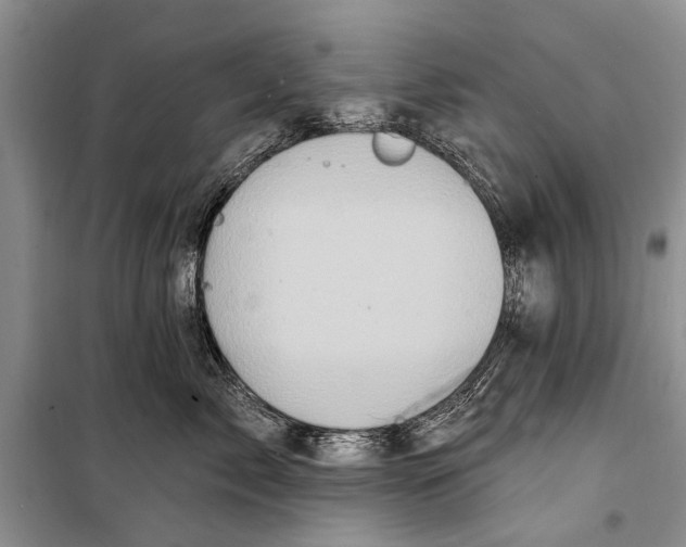 X0000098200717200805151228