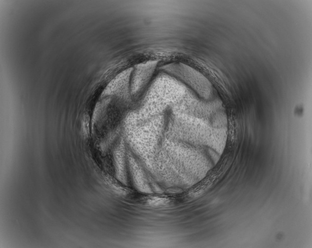 X0000098200718200805151228