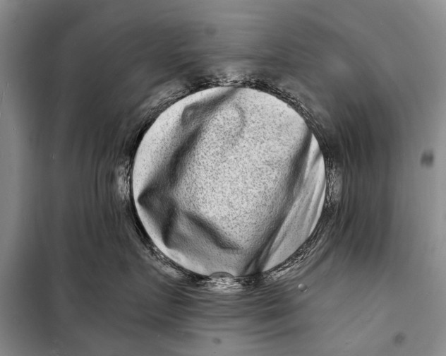 X0000098200719200805151228